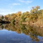 Am Teich