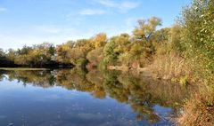 Am Teich