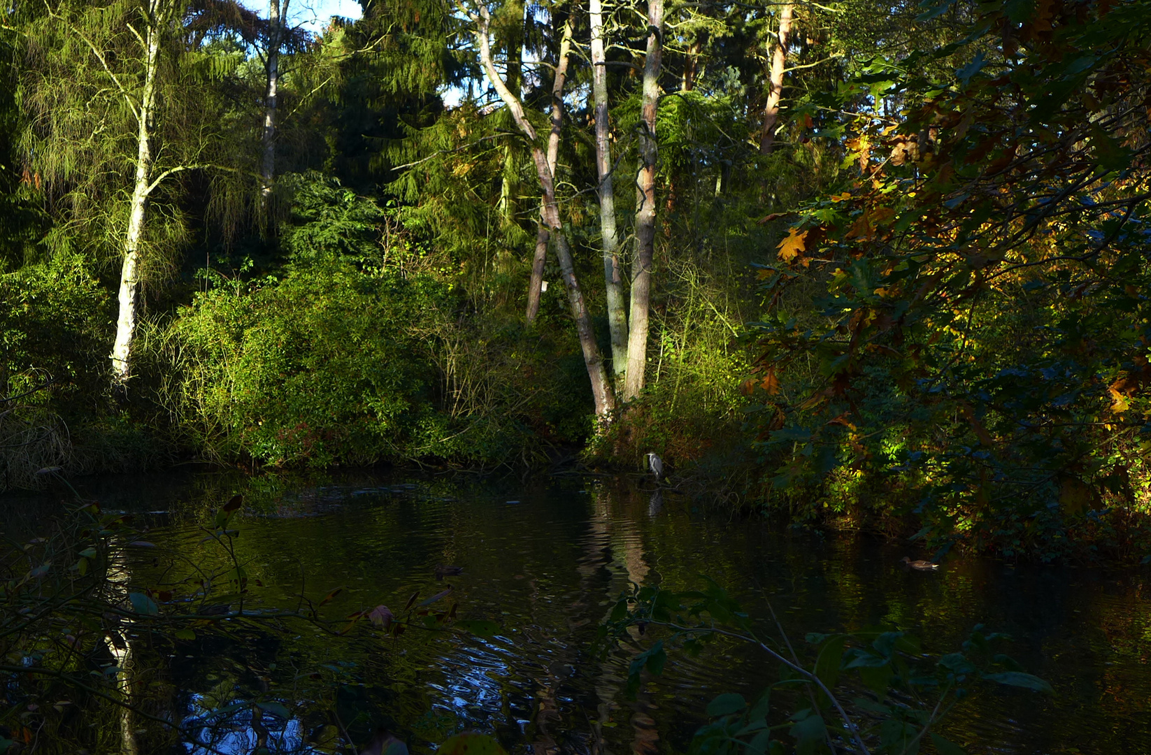 am Teich