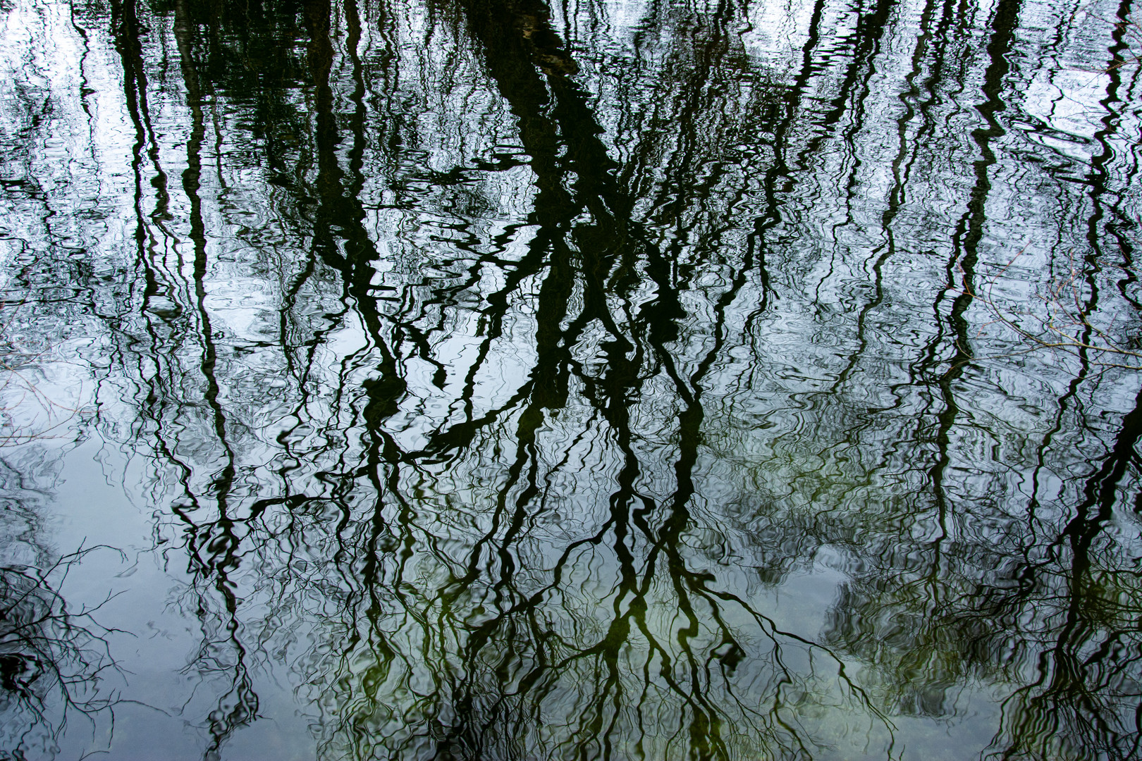 Am Teich