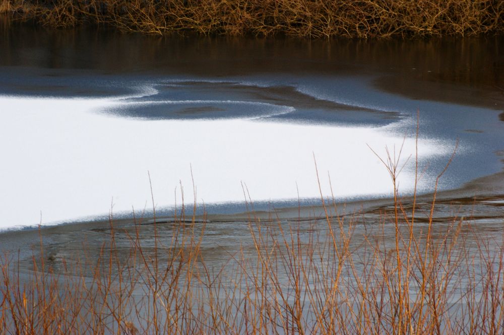 Am Teich II