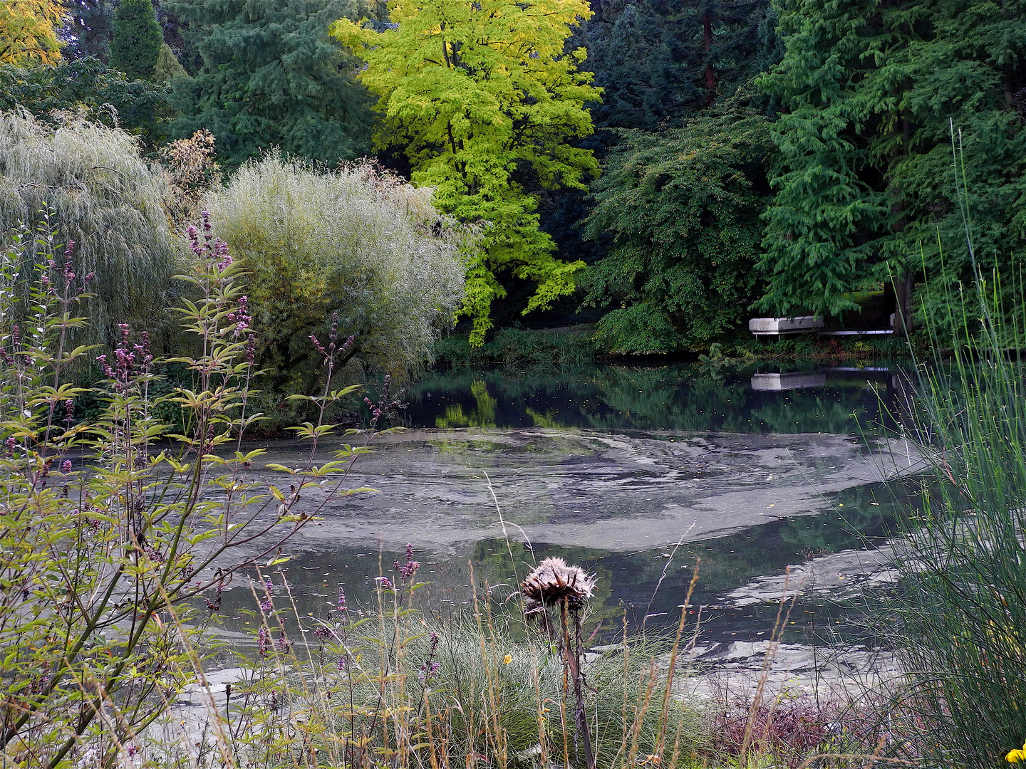 Am Teich II