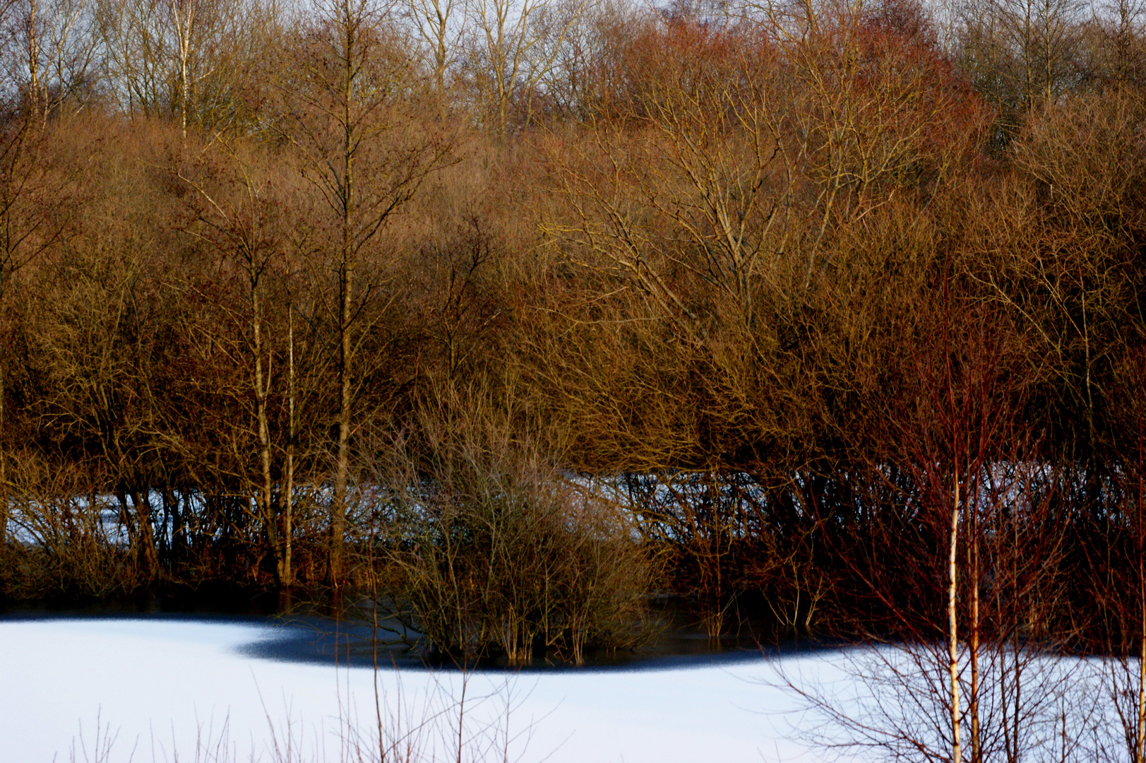 Am Teich III