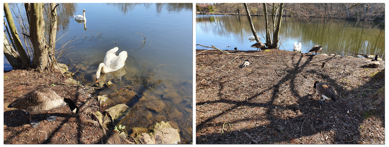 Am Teich im Bergerpark