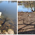 Am Teich im Bergerpark