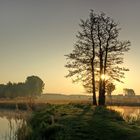 Am Teich im Herbst