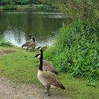 Am Teich im Park