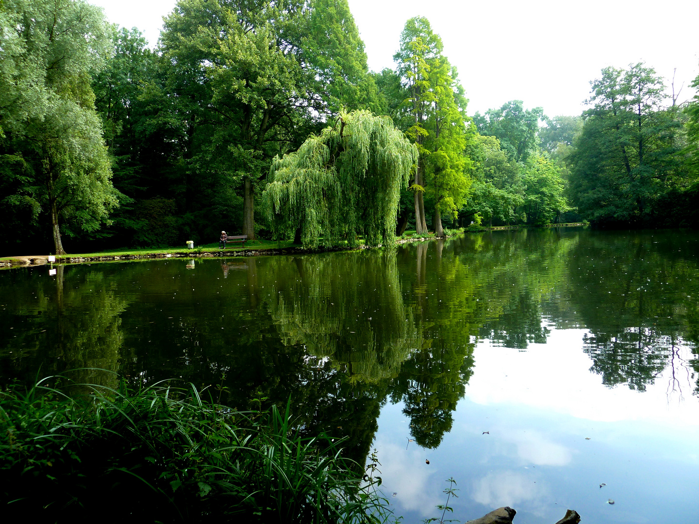 Am Teich im Park