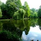 Am Teich im Park