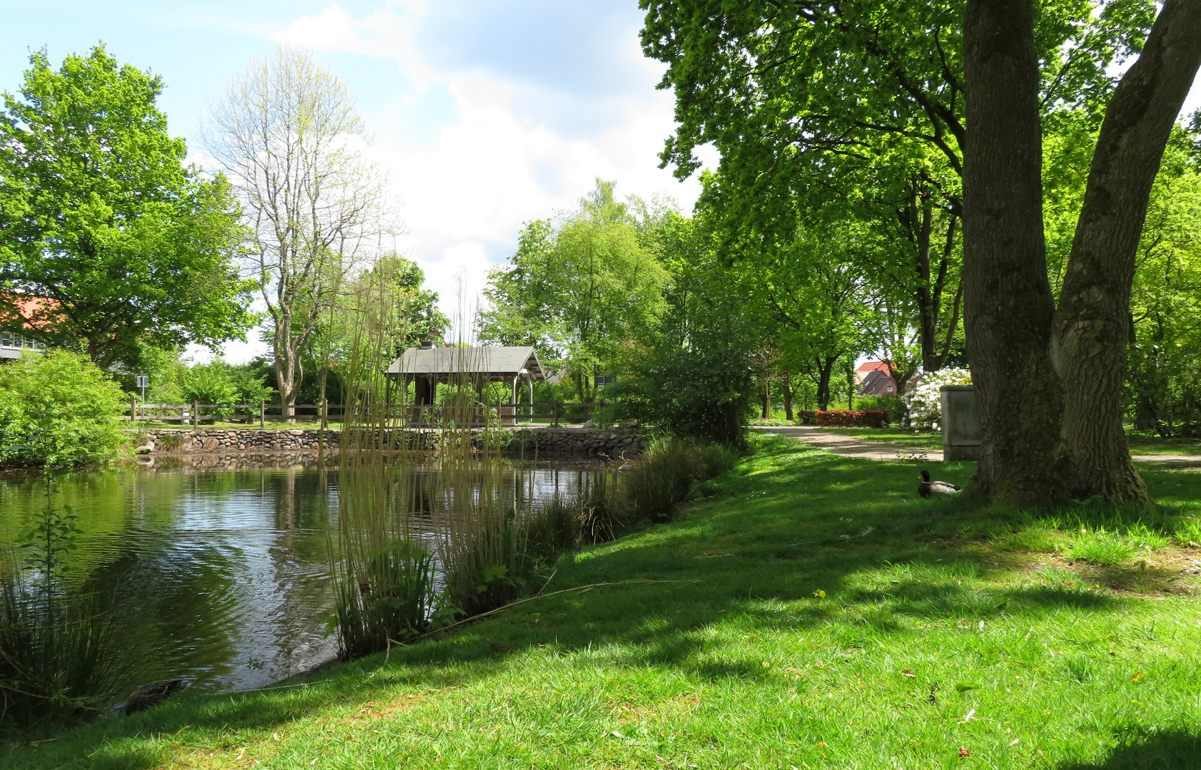 Am Teich im Stadpark ... 