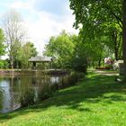 Am Teich im Stadpark ... 