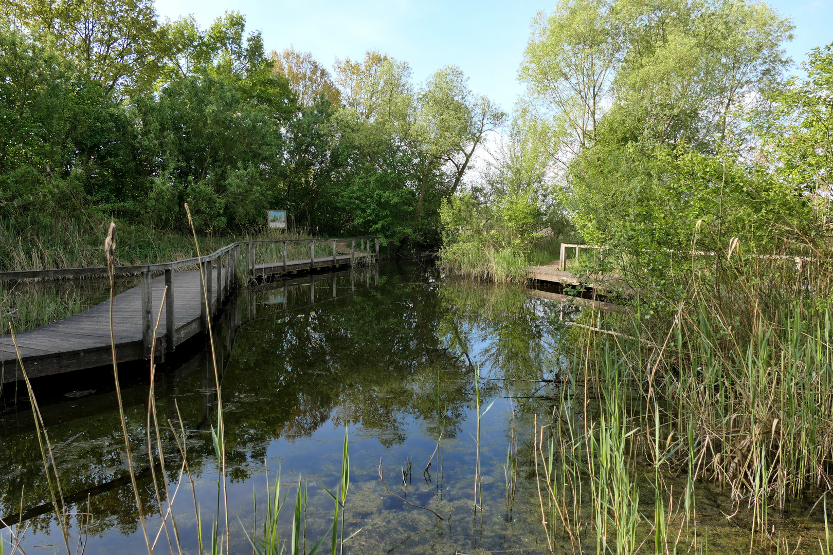 Am Teich in den Rieselfeldern/Münster