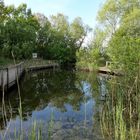 Am Teich in den Rieselfeldern/Münster