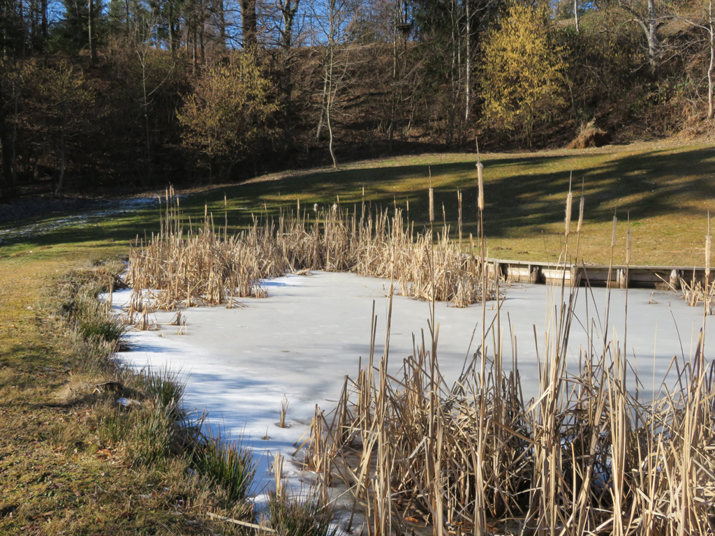 Am Teich in Fölling 