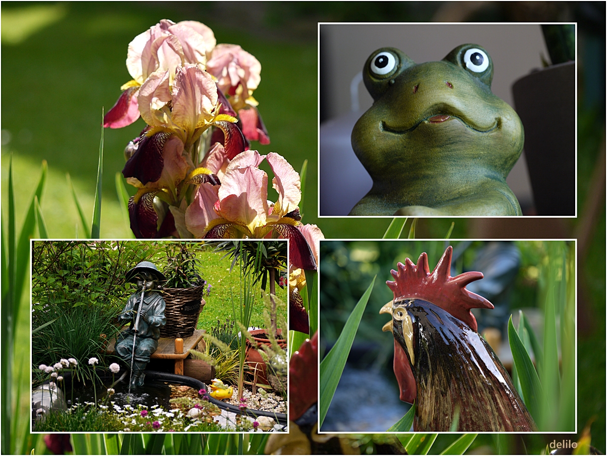 am Teich in meinem Garten