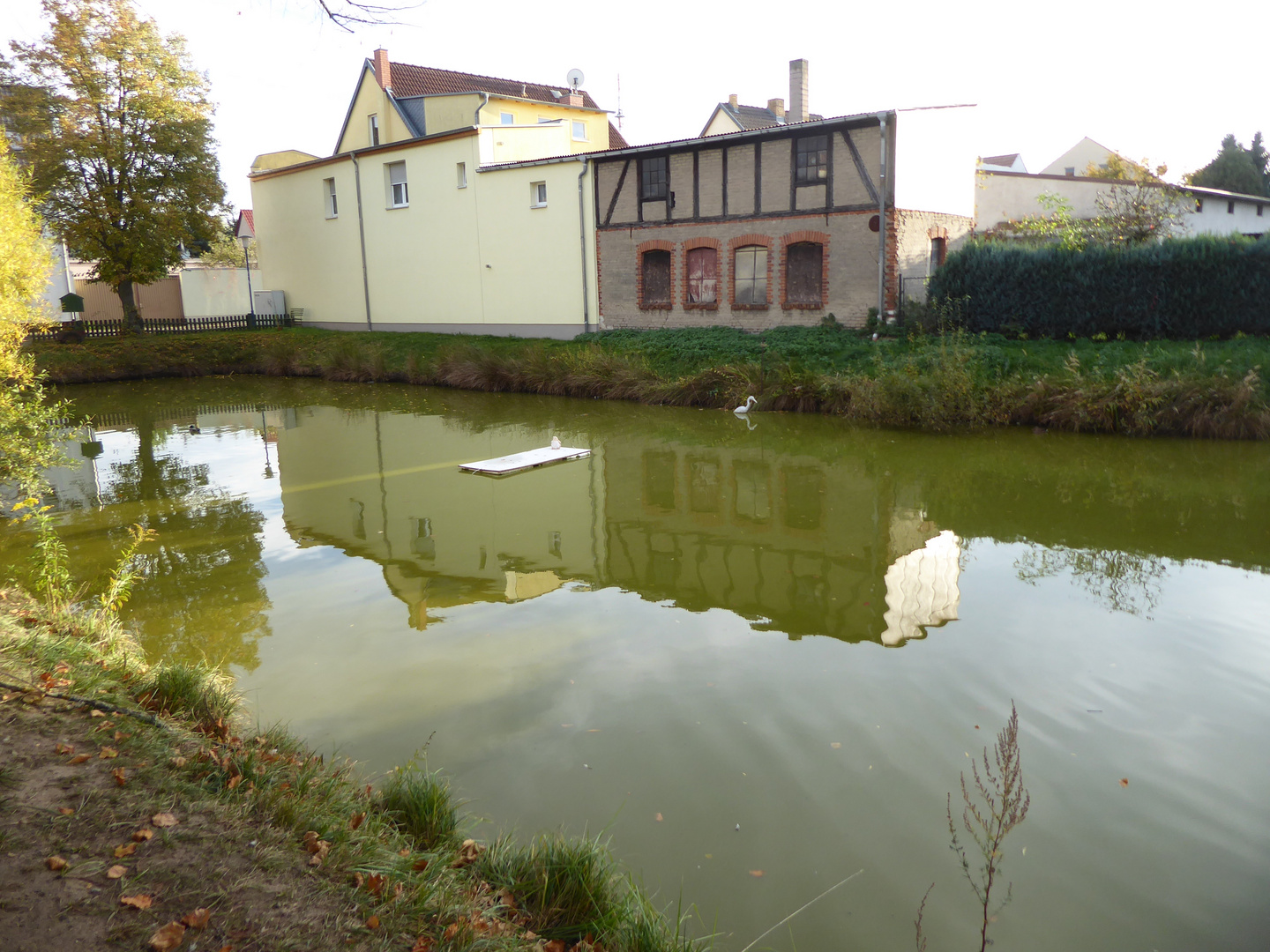 Am Teich in Ziesar