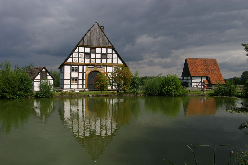 Am Teich, ohne Baum