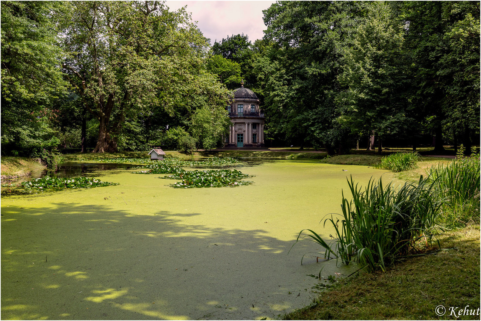 Am Teich ... Schloss und Park Pillnitz