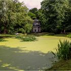 Am Teich ... Schloss und Park Pillnitz