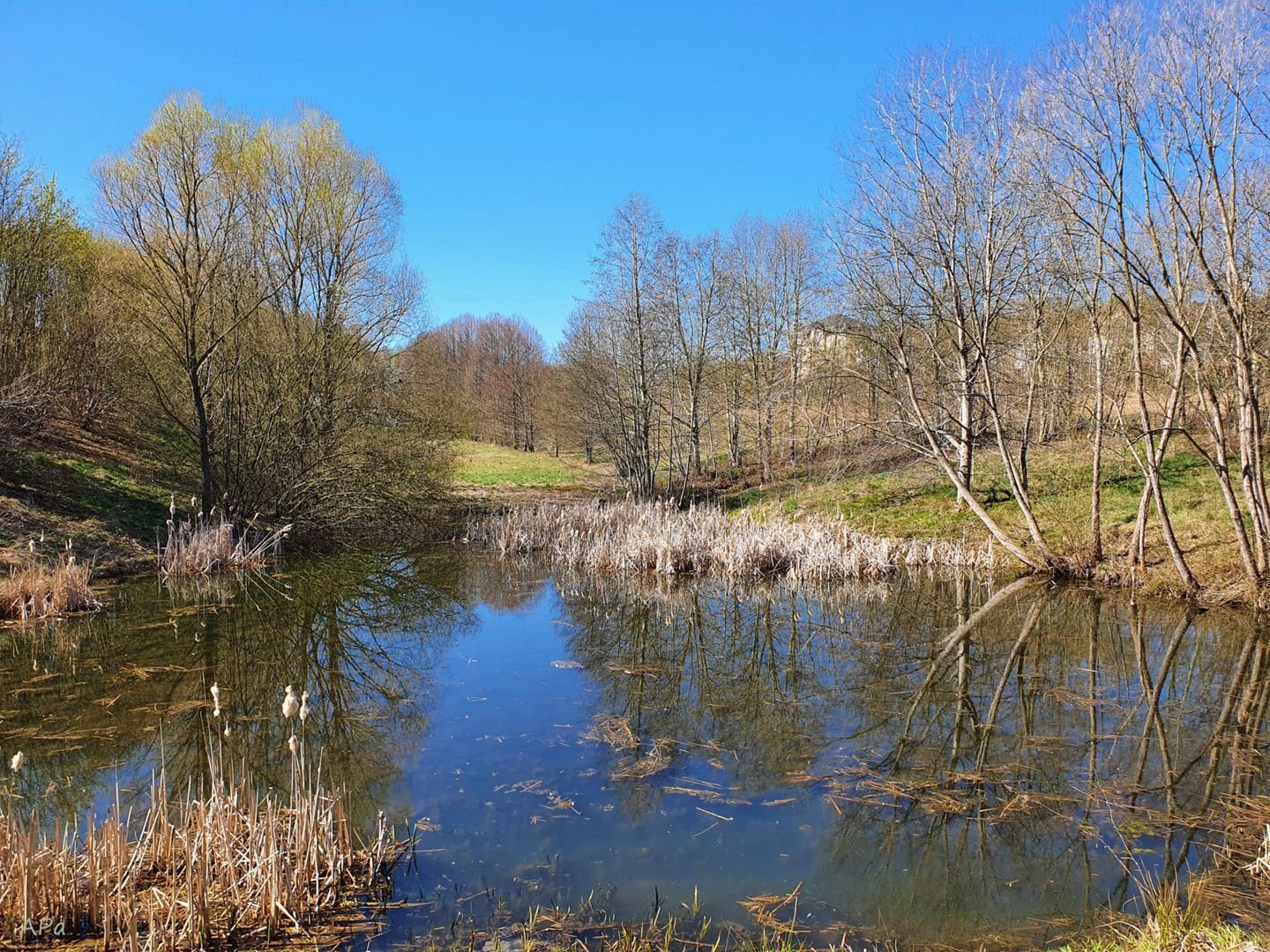 Am Teich vorbei...