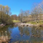 Am Teich vorbei...