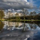 Am Teich....  zum Spiegeltag am Dienstag 11.4.17!