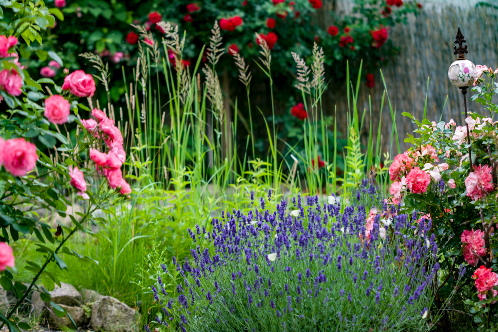 Am Teichrand Foto & Bild sommer, natur, landschaft Bilder auf