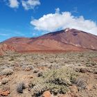 am Teide