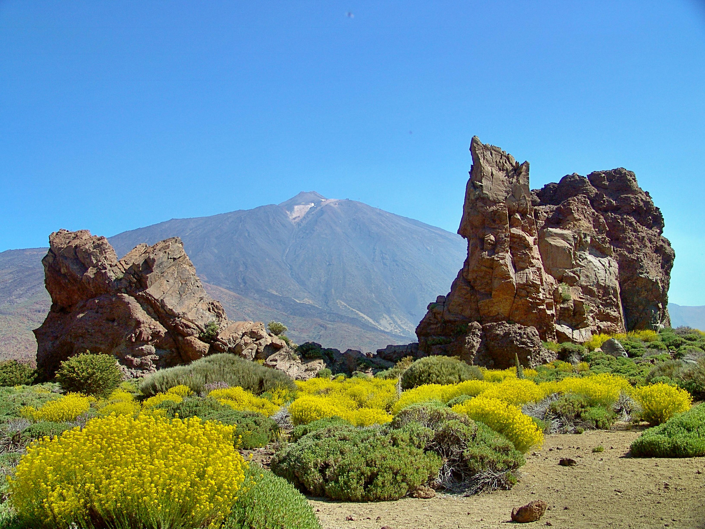 Am Teide im Mai