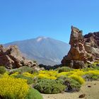 Am Teide im Mai