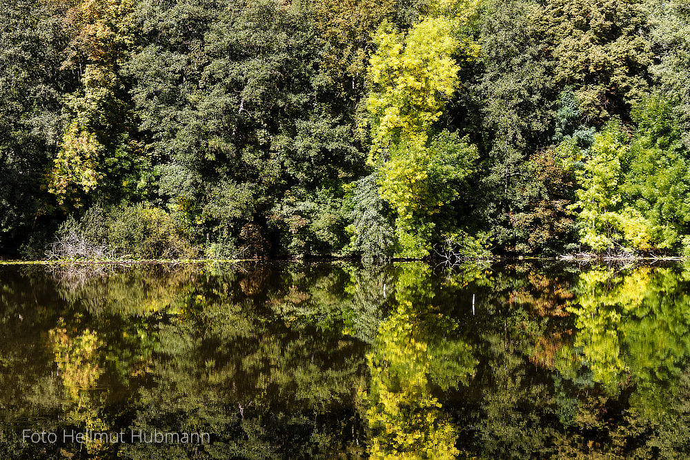 AM TEUFELSSEE BEGINNT LEISE DER HERBST - NATÜRLICH IN BERLIN