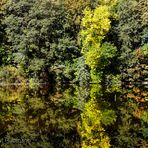 AM TEUFELSSEE BEGINNT LEISE DER HERBST - NATÜRLICH IN BERLIN