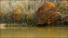 Am Thalersee I