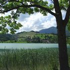 Am Thiersee / Tirol