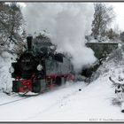 Am Thumkuhlentunnel