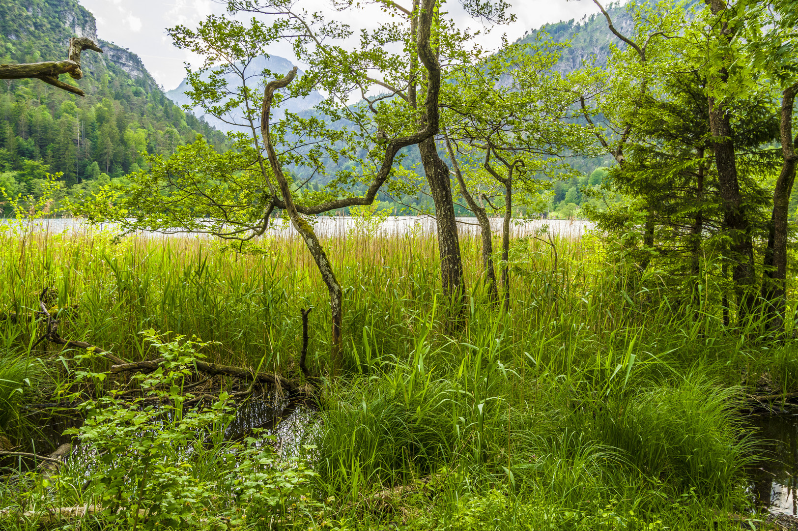 Am Thumsee