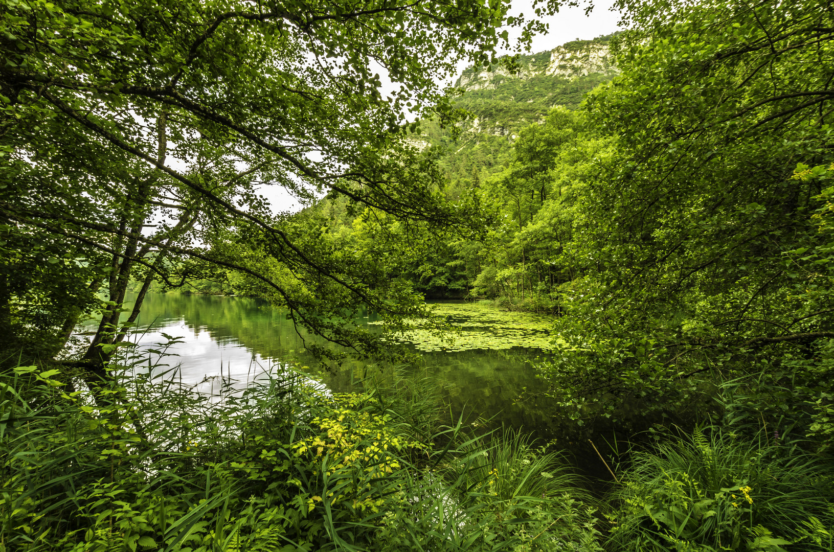 Am Thumsee