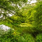 Am Thumsee