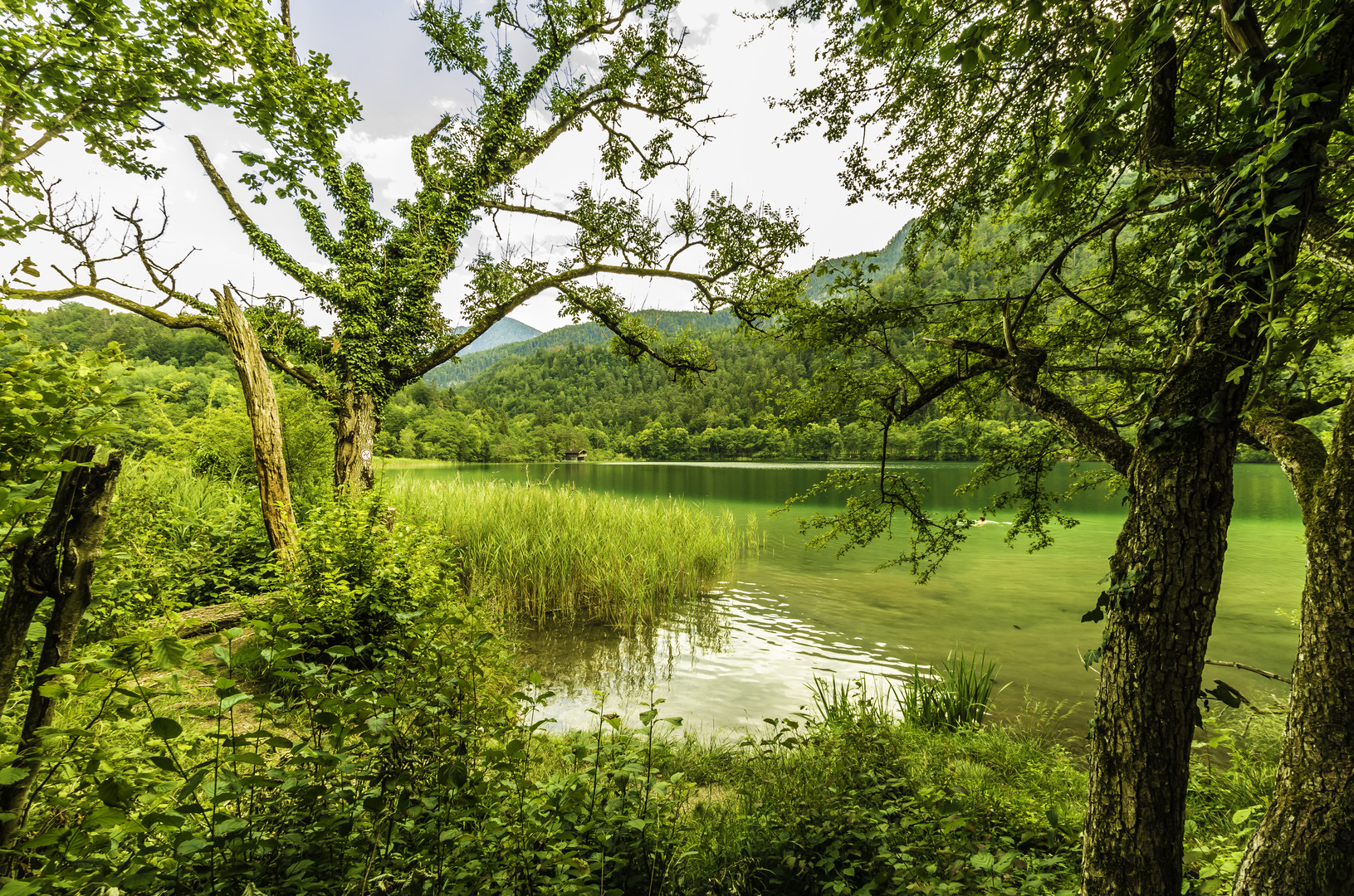 Am Thumsee Ufer