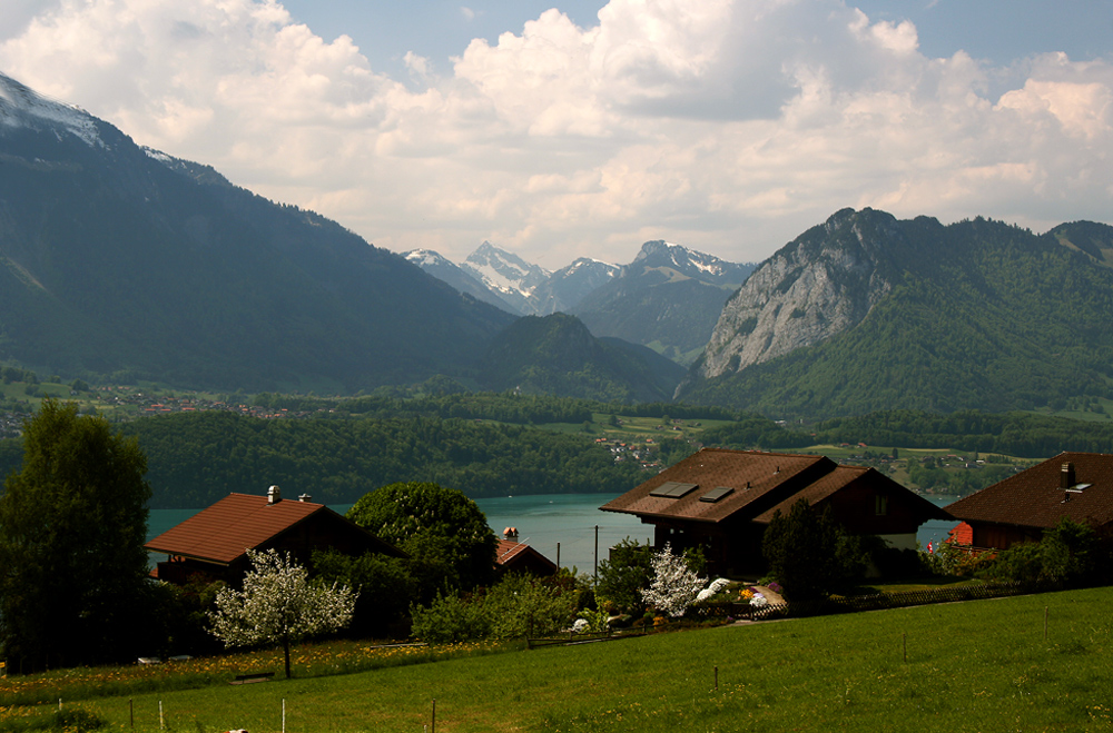 Am Thuner See