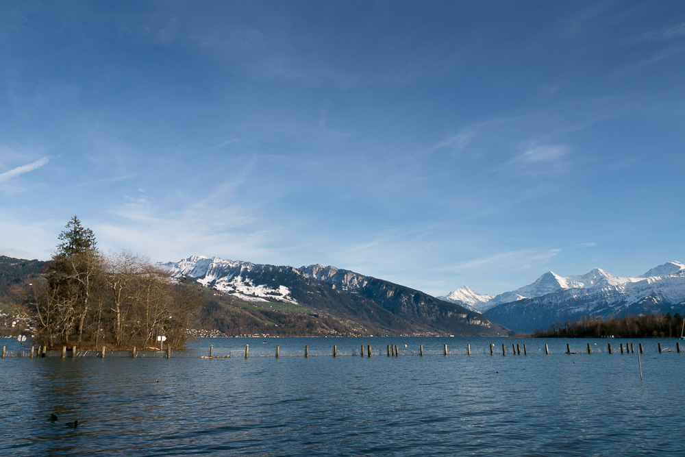 Am Thunersee