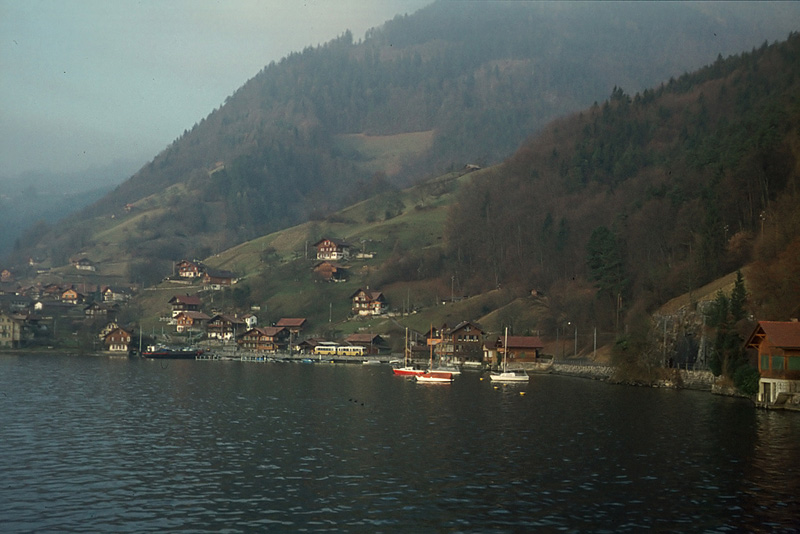 Am Thunersee