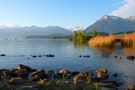 Am Thunersee von 1afoto