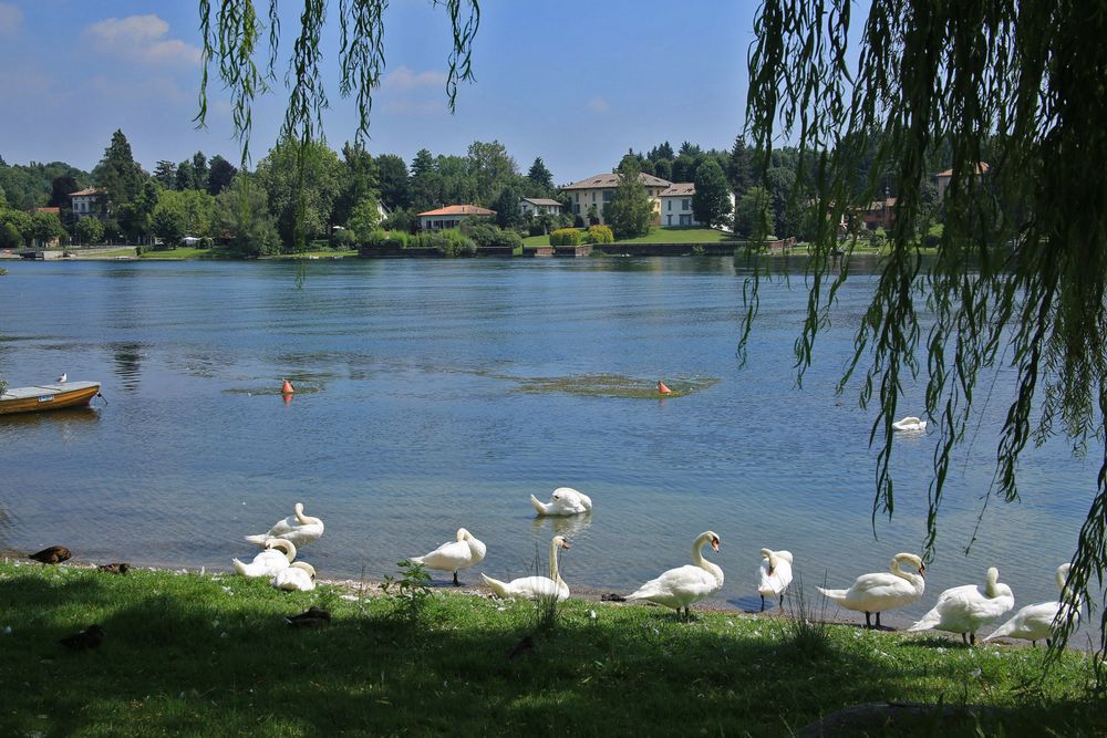 am Ticino Fluss