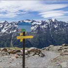 Am Tiefenbachferner (2820m)