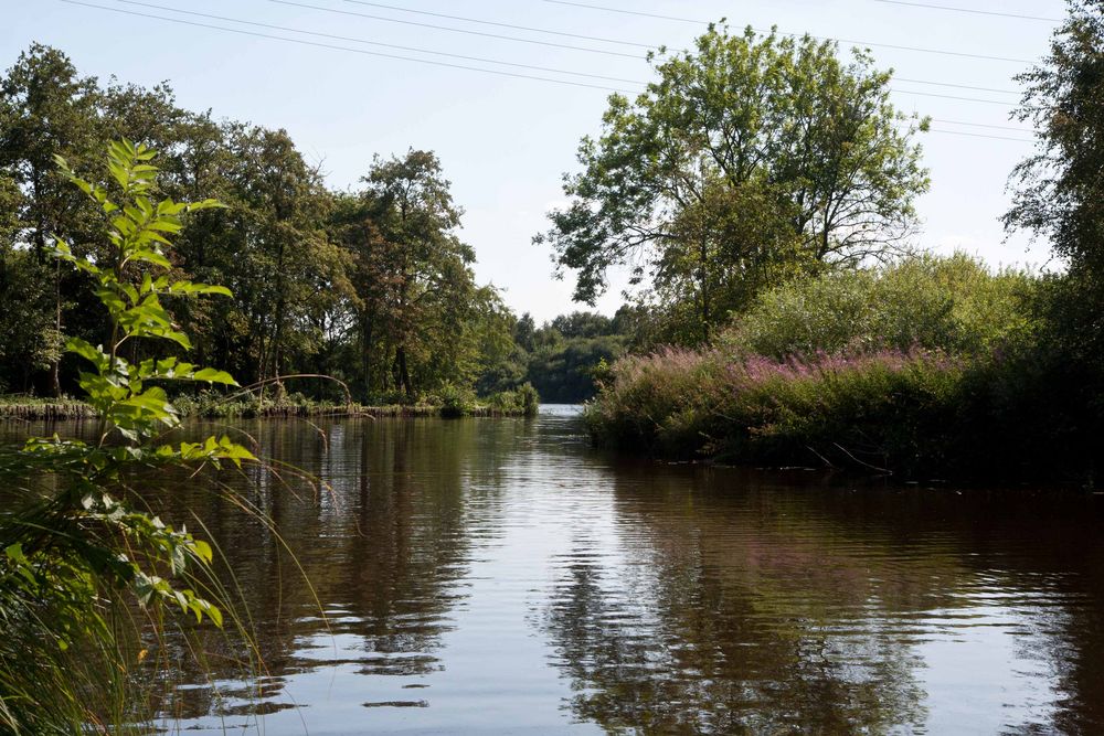 Am Timmeler Meer (Großefehn)