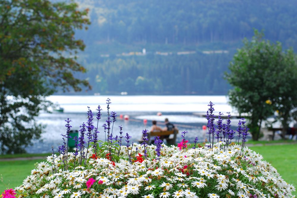 Am Titisee