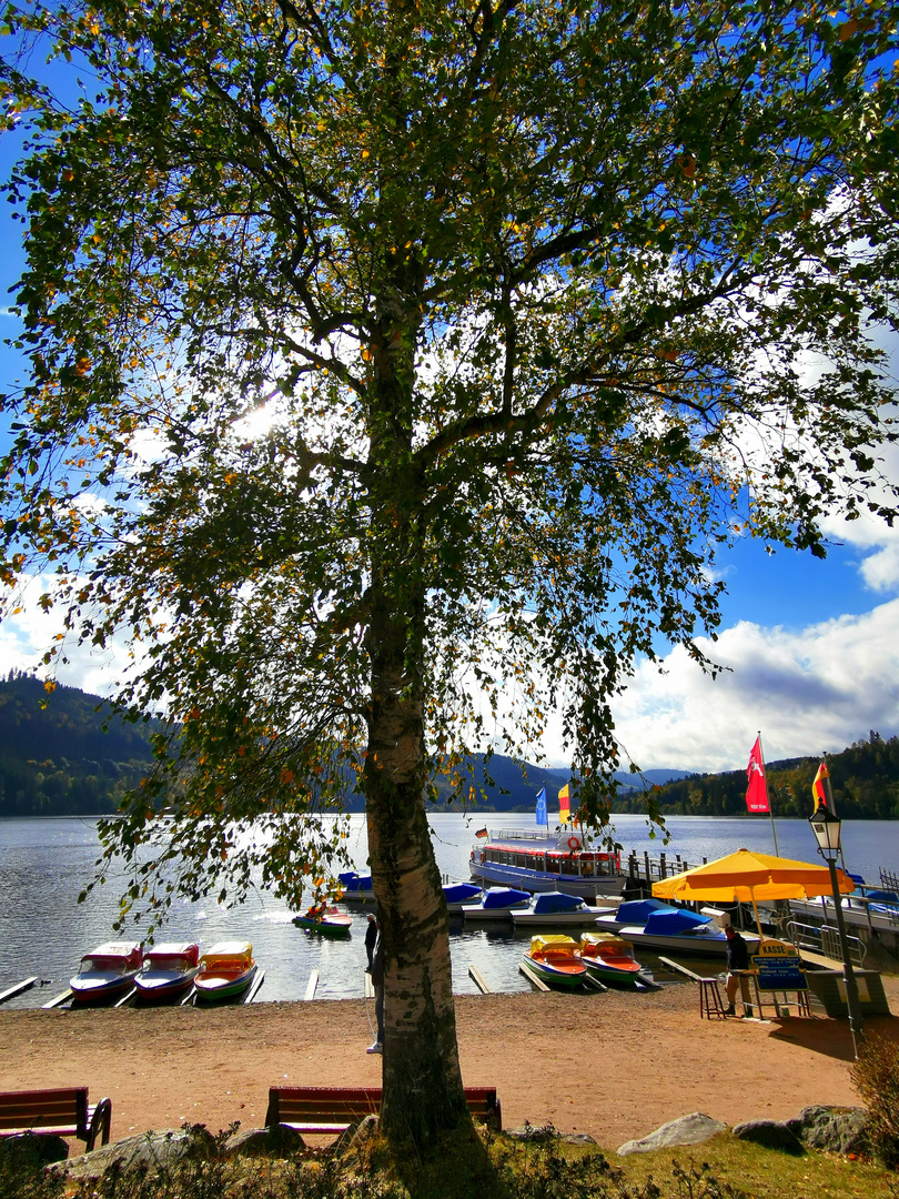 Am Titisee 