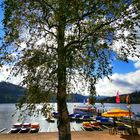 Am Titisee 