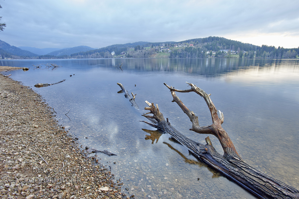 Am Titisee